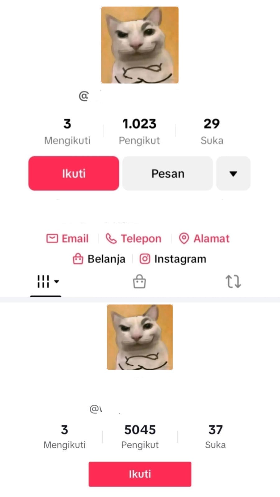 Testimoni layanan TikTok